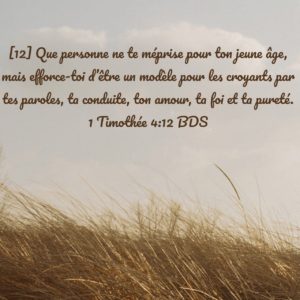 ea94c3c4-9767-44d0-b98c-d93b5bb14d65